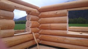 Blockhaus In Kanadischer Naturstammbauweise - Einfamilienhaus In Kirchdorf